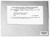 Image Associated With the Occurence